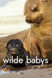 Cover Wilde Babys, Poster Wilde Babys