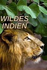 Cover Wildes Indien, Poster Wildes Indien