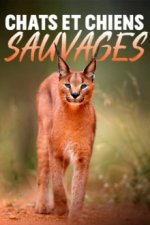Cover Wildkatzen und Wildhunde, Poster, Stream