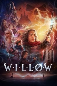 Willow Cover, Poster, Willow